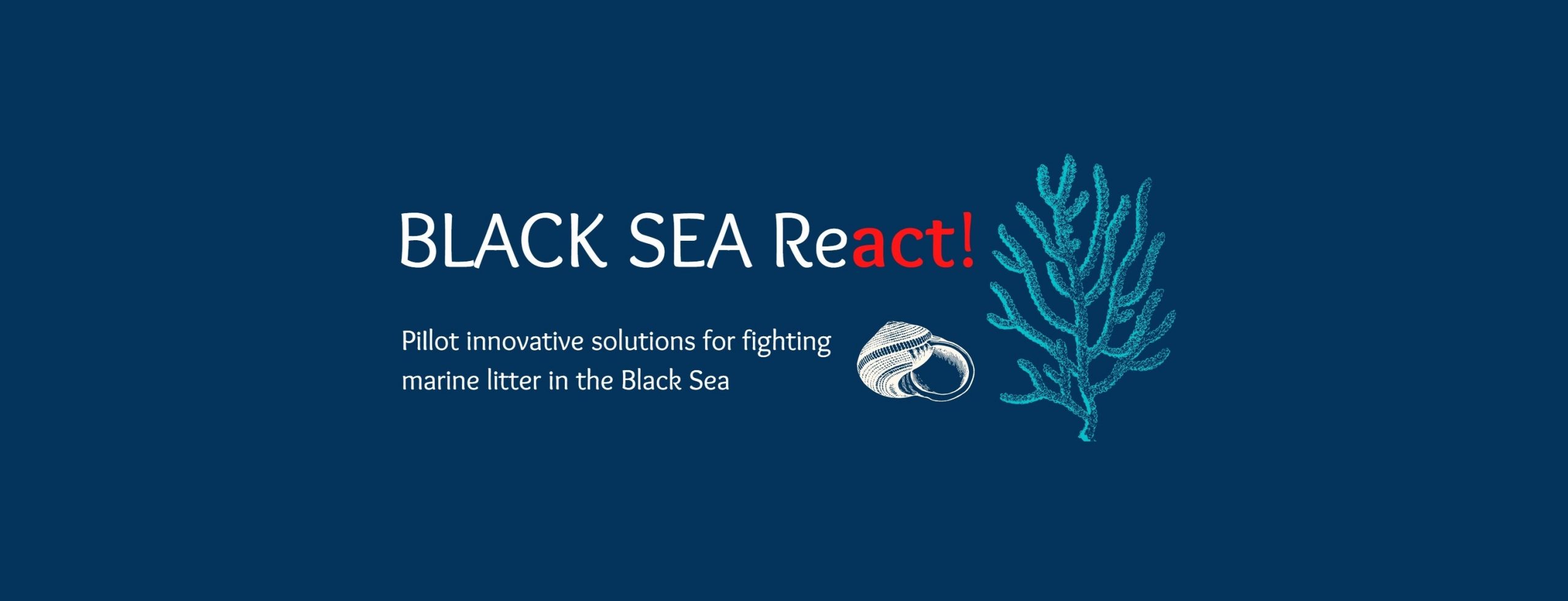 Marine Litter Project. Международный центр черноморских исследований (ICBSS. Essay about Youth.
