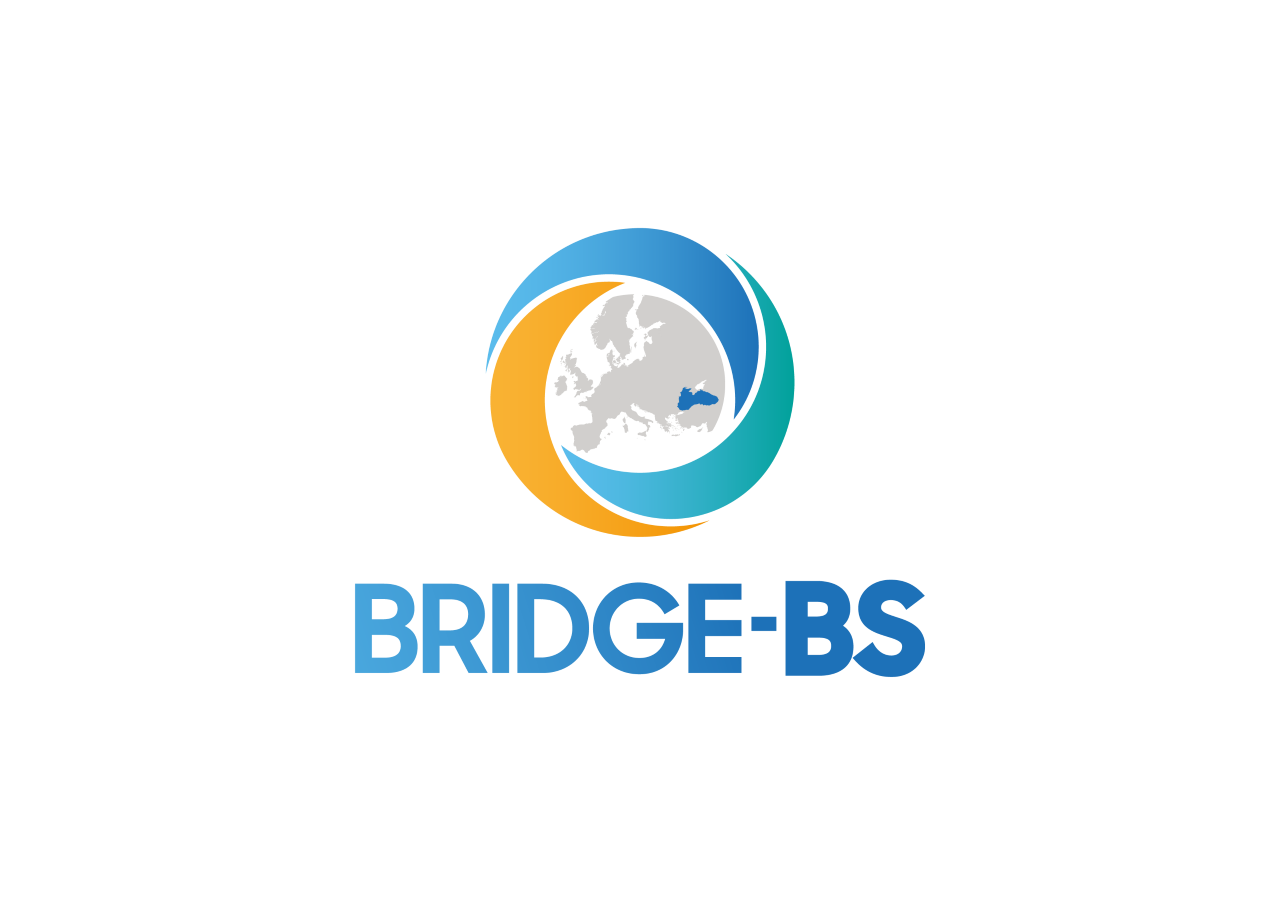 thumbnail_BRIDGE-BS Logo-04